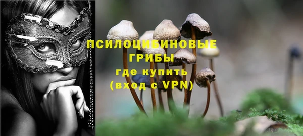 бошки Горняк