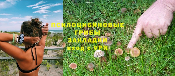 соль курить ск Горнозаводск
