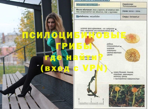 соль курить ск Горнозаводск