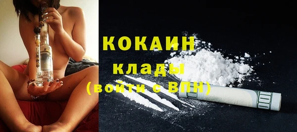 бошки Горняк