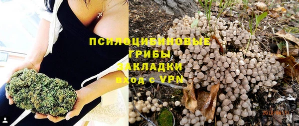 бошки Горняк