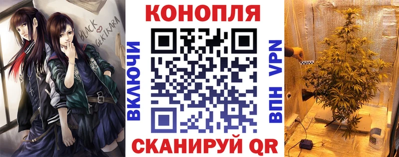 Канабис OG Kush  Купить  Менделеевск 